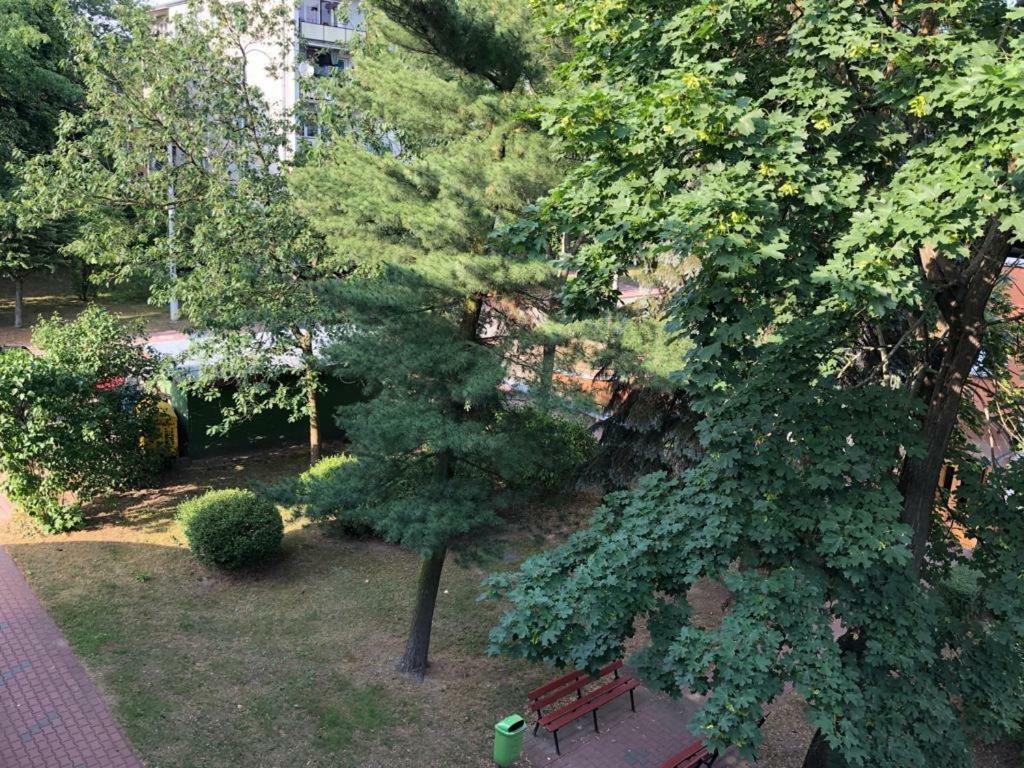 Chrobrego 269 Apartment Biala Podlaska Bagian luar foto