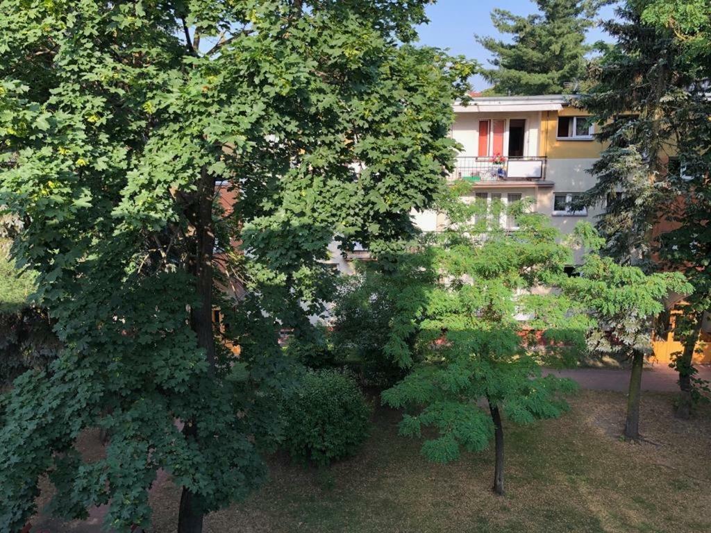 Chrobrego 269 Apartment Biala Podlaska Bagian luar foto